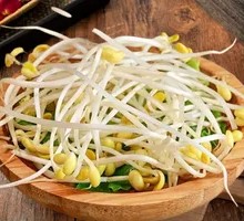 Bean sprouts