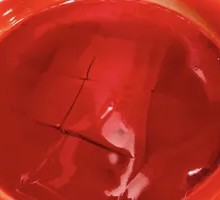 Duck Blood