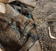 Fresh Tripe