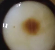 Cold Rice Cake