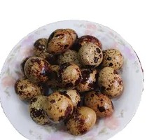 Quail Egg