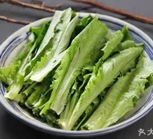 Oilseed lettuce