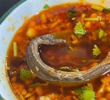 Fresh Earth Eel
