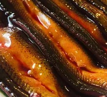 Eel