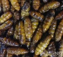 Silkworm pupae
