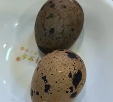 Quail Egg