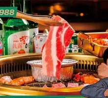 Beef Short Plate