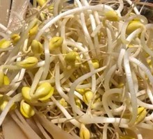 Bean sprouts