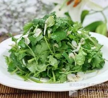 Cilantro