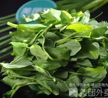 Pea Shoots