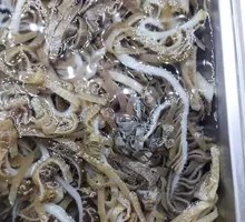 Tripe