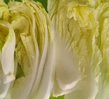 Chinese cabbage