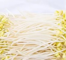 Bean sprouts