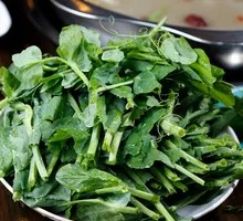 Pea Shoots