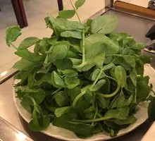 Pea Shoots