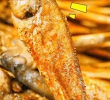 Yellow Croaker