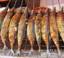 Sardine