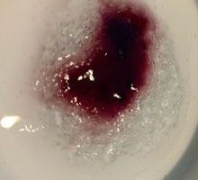 Bird's Nest Yogurt