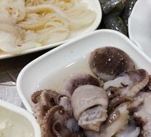 Baby Octopus