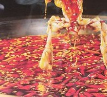 Fresh American Bullfrog Anytime