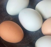 Salted duck egg