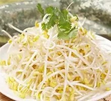 Bean sprouts