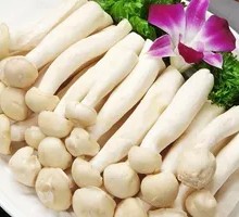 Seafood Mushroom