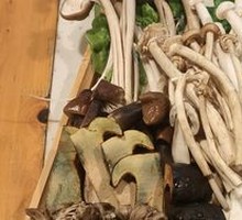 Mountain Mushroom Assortment