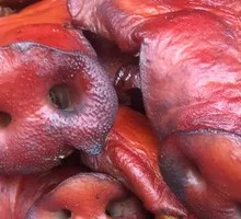 Pork Snout Dish