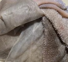 Fresh Tripe
