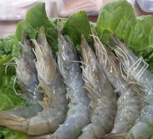 Prawn