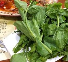 Pea Shoots