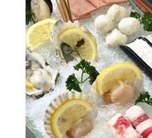 Ecological Oyster
