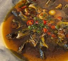 Spring Fish in Clear Water