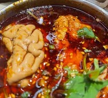 Spicy Brain Slices