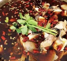 Delicious Bighead Carp