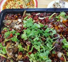 Spicy Mudskipper Fish