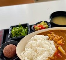 Japanese Chicken Curry Rice