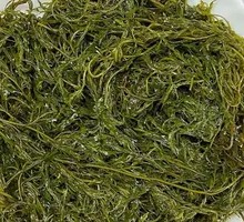 Goosefoot Seaweed