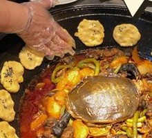 Hezhou Organic Softshell Turtle