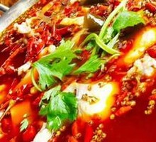 Special Pangasius Fish