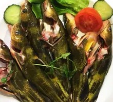 Fresh Yellow Catfish
