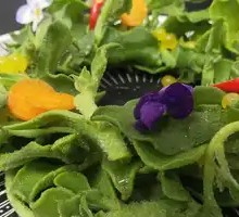 South African Ice Plant Salad