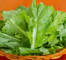 Green Leaf Vegetable