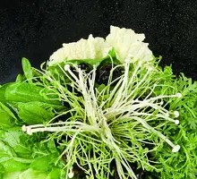 Seasonal Vegetable Side Dish