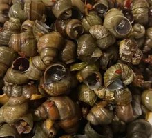 Stir-fried Snails