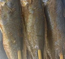 Yellow Croaker