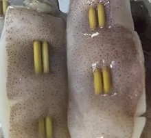 Squid