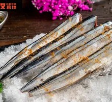 Sardine