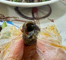 Spicy Snail Stir-fry